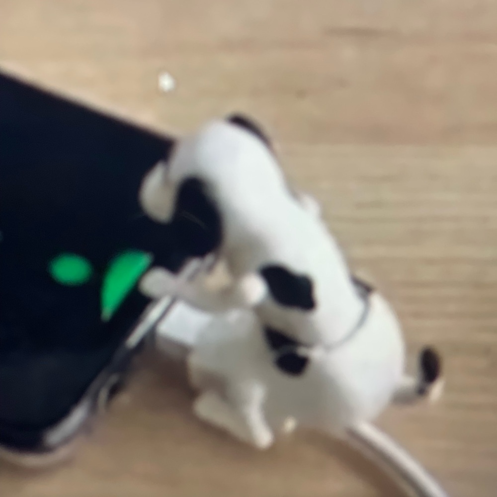 White USB Cable with Dog Design - Picture 5 of 5